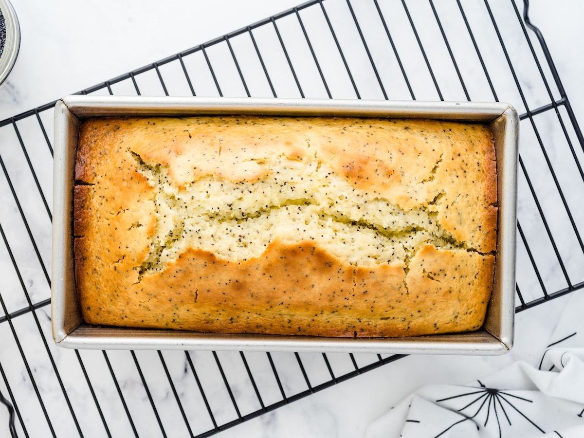 Freshly baked lemon poppy seed bread in a loaf pan cooling on a wire rack