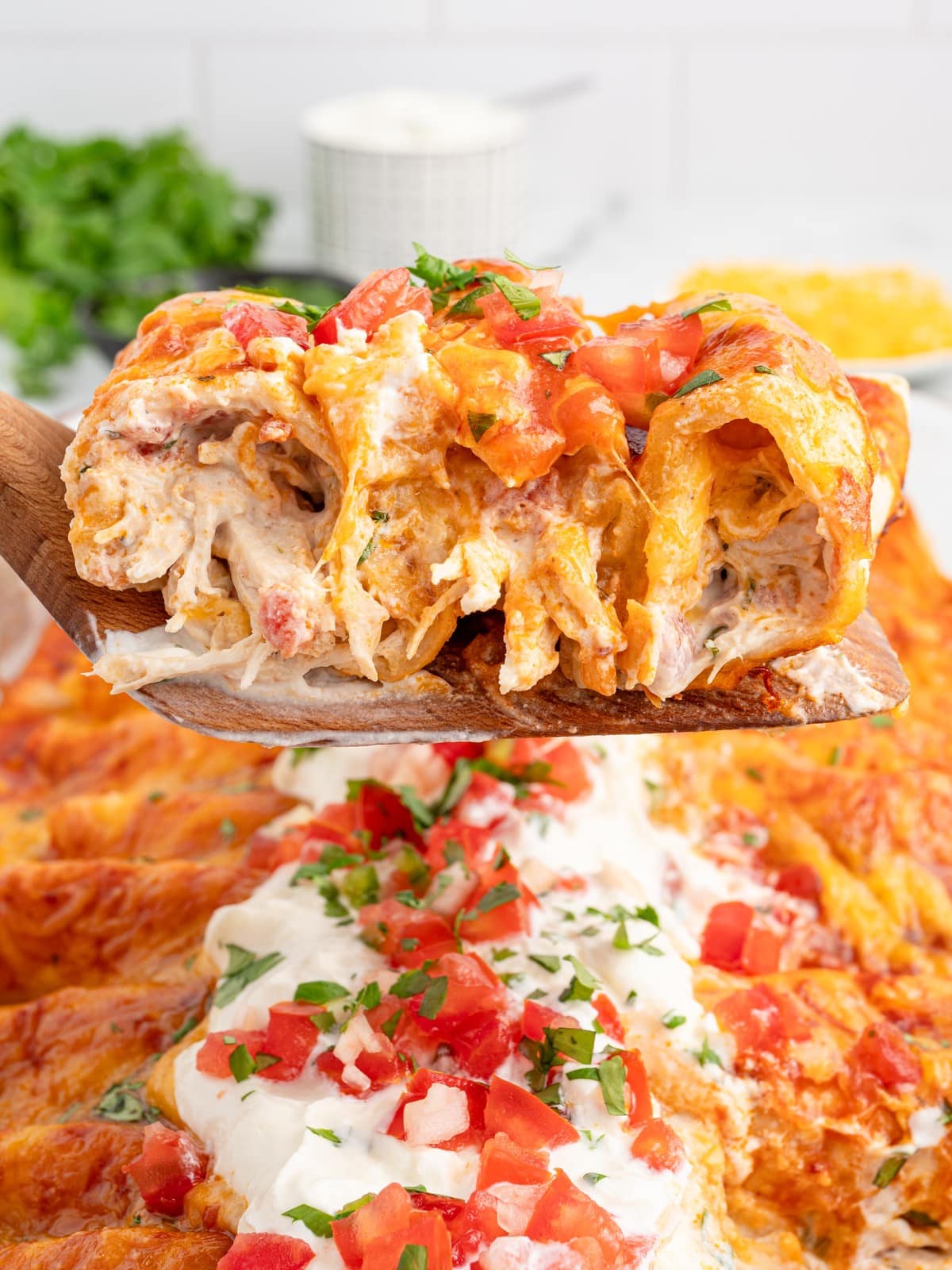 Cream Cheese Chicken Enchiladas lifted from the baking dish on a wooden spatula, revealing a creamy shredded chicken and cream cheese filling with melted cheese, red enchilada sauce, diced tomatoes, and cilantro.