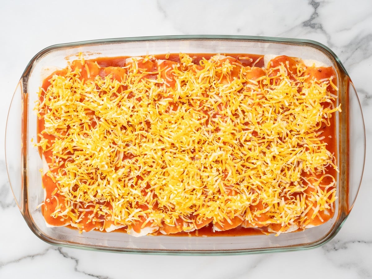 Cream Cheese Chicken Enchiladas arranged in a glass baking dish, covered with red enchilada sauce and a generous layer of shredded Colby Jack cheese before baking.